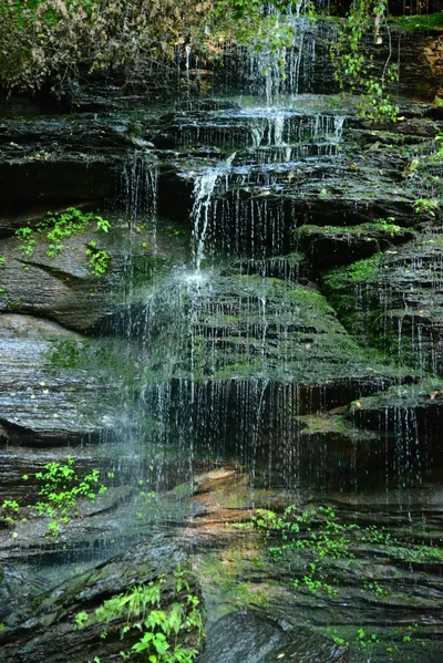 DSC_2841 (Large).JPG